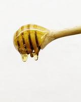 Golden honey dripping  with wooden dipper. photo