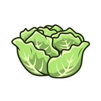 cabbage vector isolated on white background