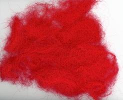 red Christmas wool photo