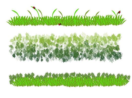 Green grass on a white background.