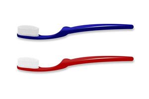 The toothbrush is blue and red. Vector illustration, realistic.