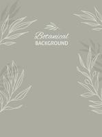 Botanical background with olive leaves. vector