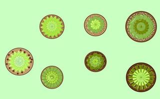 Houseplants set, small succulents. Vector illustration