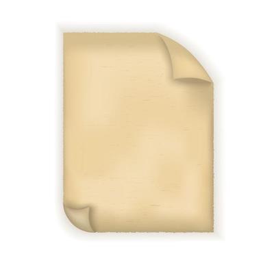 Piece of old paper on white background vector.