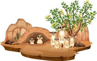 Isolated nature scene with meerkat family vector