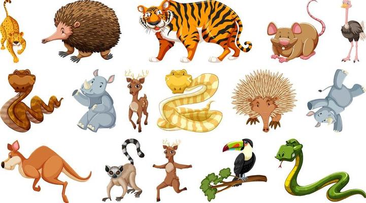 Set of different wild animals cartoon characters