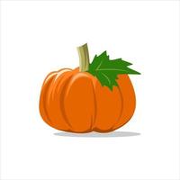 un elemento de vector de ilustración plana de calabaza