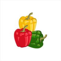 Yellow, red and green pepper realistic vector illustration