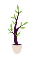 Decorative tree in pot semi flat color vector object