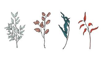Vector floral branches. Floral leaves and branches for minimalist card design