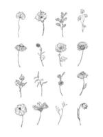 vector floral negro ramas y flores. hojas florales, ramas y flores en estilo doodle para un diseño de tarjeta minimalista