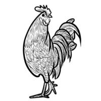 ilustración de pollo vector