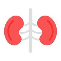 Human renal system organ icon in flat design, kidneys icon vector