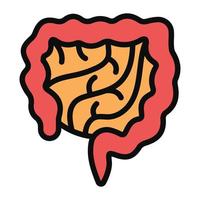Large intestine icon in flat vector