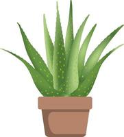 Potted cactus house plant. vector