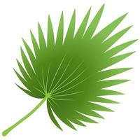 Green leaf element. vector