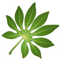 Green leaf element. vector