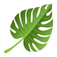 Green leaf element. vector