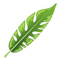 Green leaf element. vector