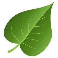 Green leaf element. vector