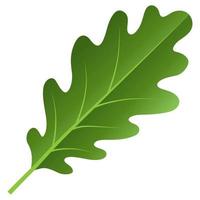 Green leaf element. vector