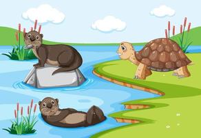 nutrias y tortugas viviendo juntas en el bosque vector