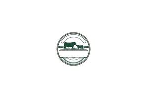 Vintage Retro Angus Cattle Livestock for Beef Logo Design Vector