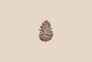 Rustic Hand Drawn Pine Cone Logo Design Vector