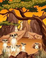 Desert background with a group of meerkats vector