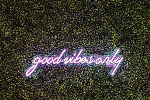 Good Vibes Only with plant wall background photo