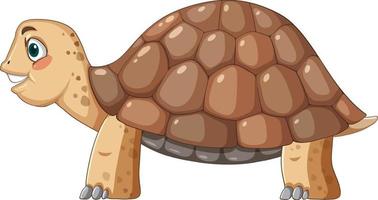 Side view of tortoise with brown shell in cartoon style vector