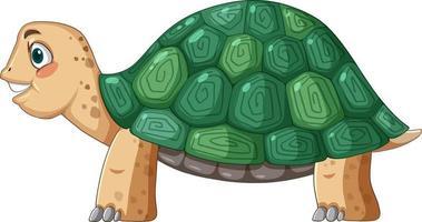 Side view of turtle with green shell in cartoon style vector