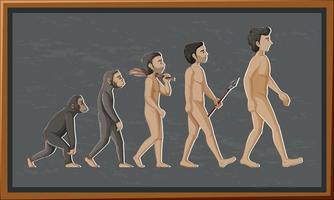 Stages of human evolution cartoon character vector