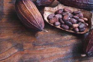 granos de cacao secos y granos de cacao secos foto