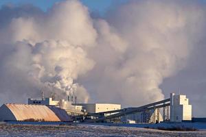 Contaminación invernal de las praderas foto