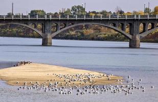 río saskatchewan del norte saskatoon foto