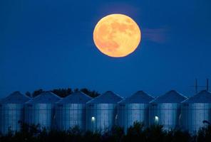 pradera luna llena foto