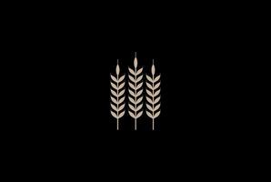 Simple Minimalist Golden Grain Wheat Rice for Brewery or Bakery Logo Design Vector