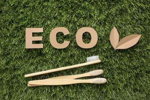 ecological toothbrushes grass