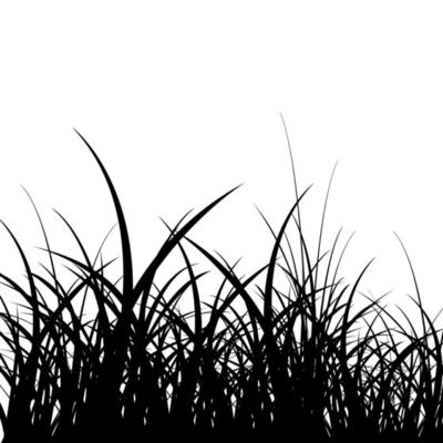 Grass. Silhouette of Grass. Vector Illustration