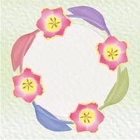 Watercolor tulip flower and leave set design vector