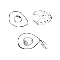 Vector illustration of an avocado on a white isolated background. Shop sketch, banner, menu, and logo. Black and white outline.