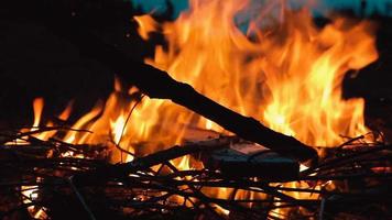 fogata con madera ardiendo y ramitas en el crepúsculo. el hombre arregla el fuego con un palo video