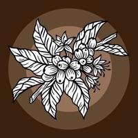 Branch of coffee with beans and leaf hand drawn for Shop Cafe Restaurants illustration vector