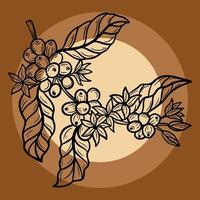 Branch of coffee with beans and leaf hand drawn for Shop Cafe Restaurants illustration vector