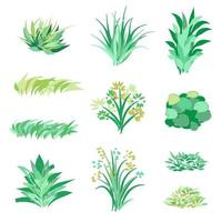 Grass and Bush Set vector