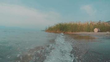 mar da costa da galileia com seixos e plantas em dia de verão