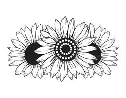 sunflower line art, sunflower line drawing, floral line drawing, sunflower outline vector