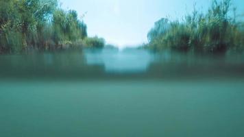 Split shot showing above and below the water level in Varicose River in Israel video