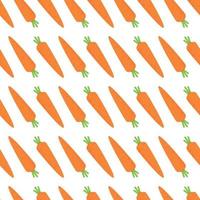 Pattern of carrots from the vegetable garden. Harvesting in the fall. vector